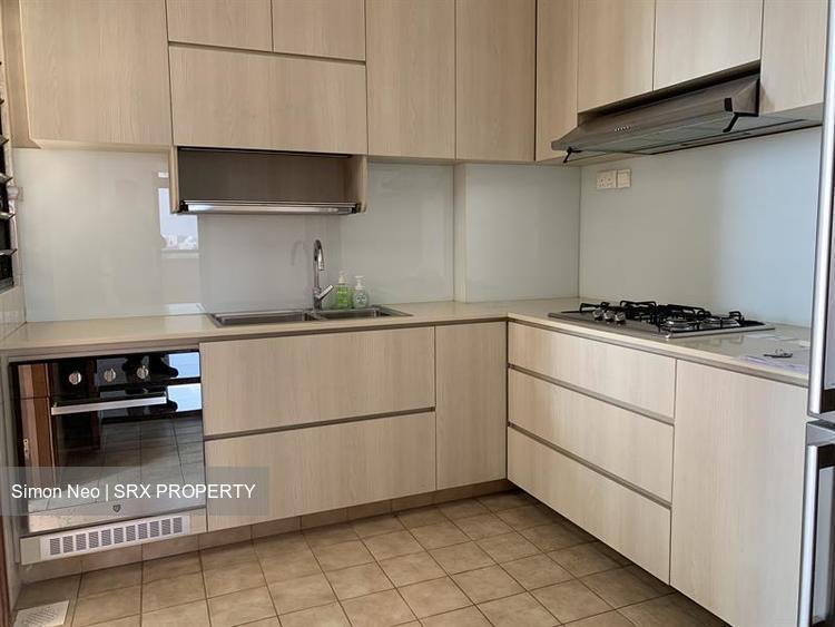 Dover Parkview (D5), Condominium #198639142